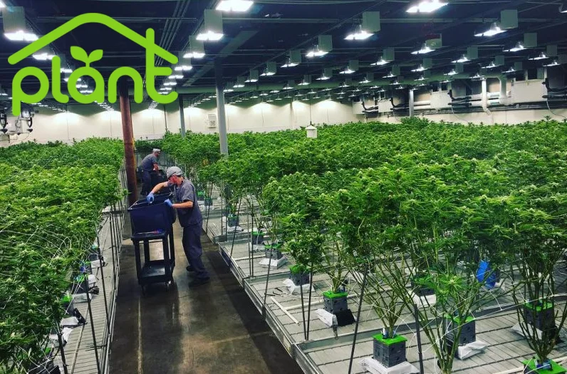 Высококачественный передвижной поднос для прожектора, коммерческая скамейка для прожектора и дренажа для посадки