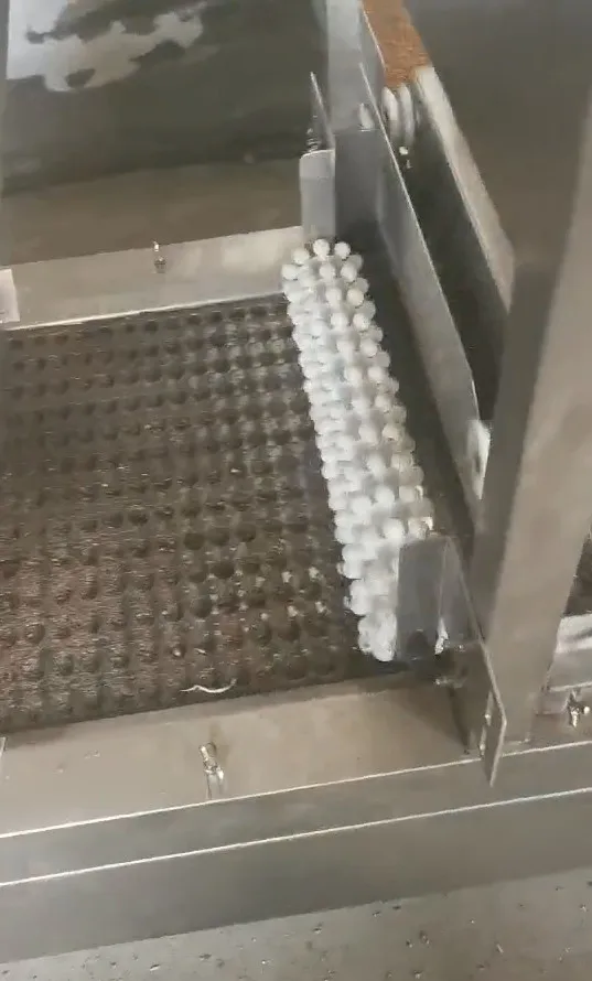 automated needle seeder for  rice seeds with high productivity 800 trays per hour exported to Europe and Middle East