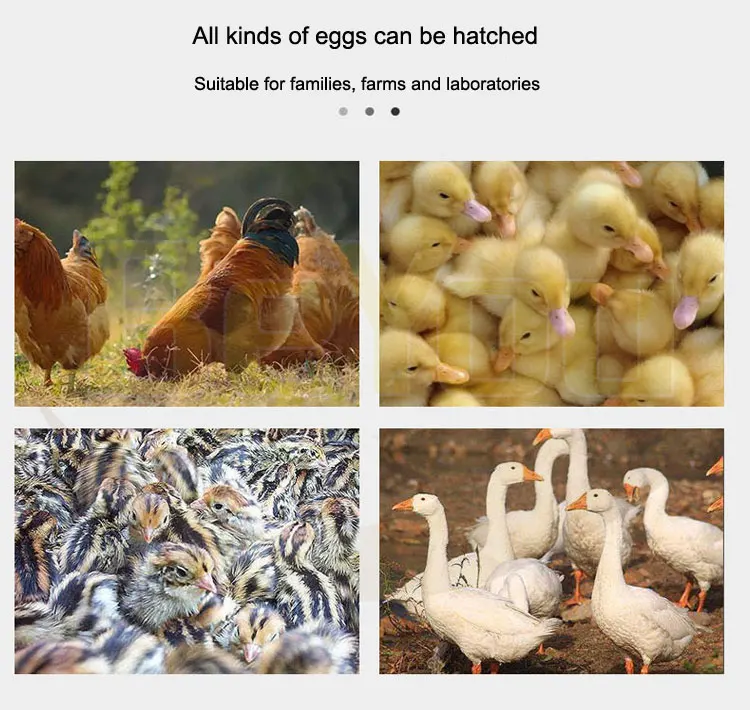 Latest Hot Selling 264 Grey Chicken 264 Egg Incubator And Hatcher Spare Parts