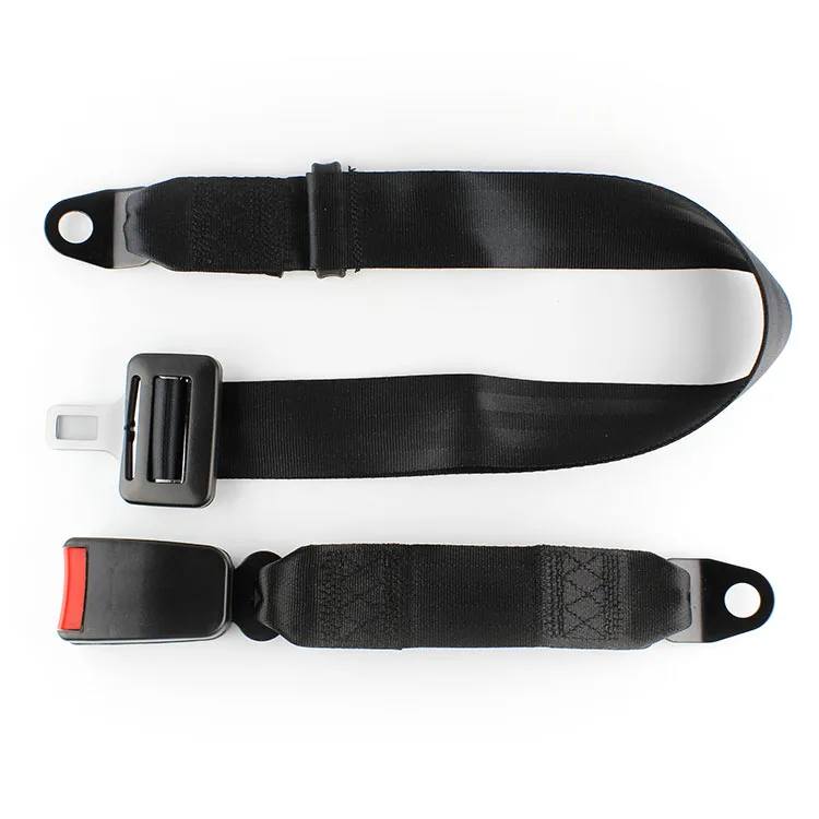 OEM Supplier 2 point removable safety seat belt