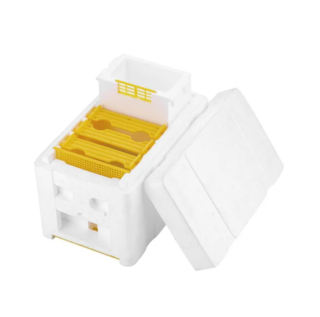 Plastic box for bee Honey Queen Bee Hive Nuc Box Mini bee Mating Boxes