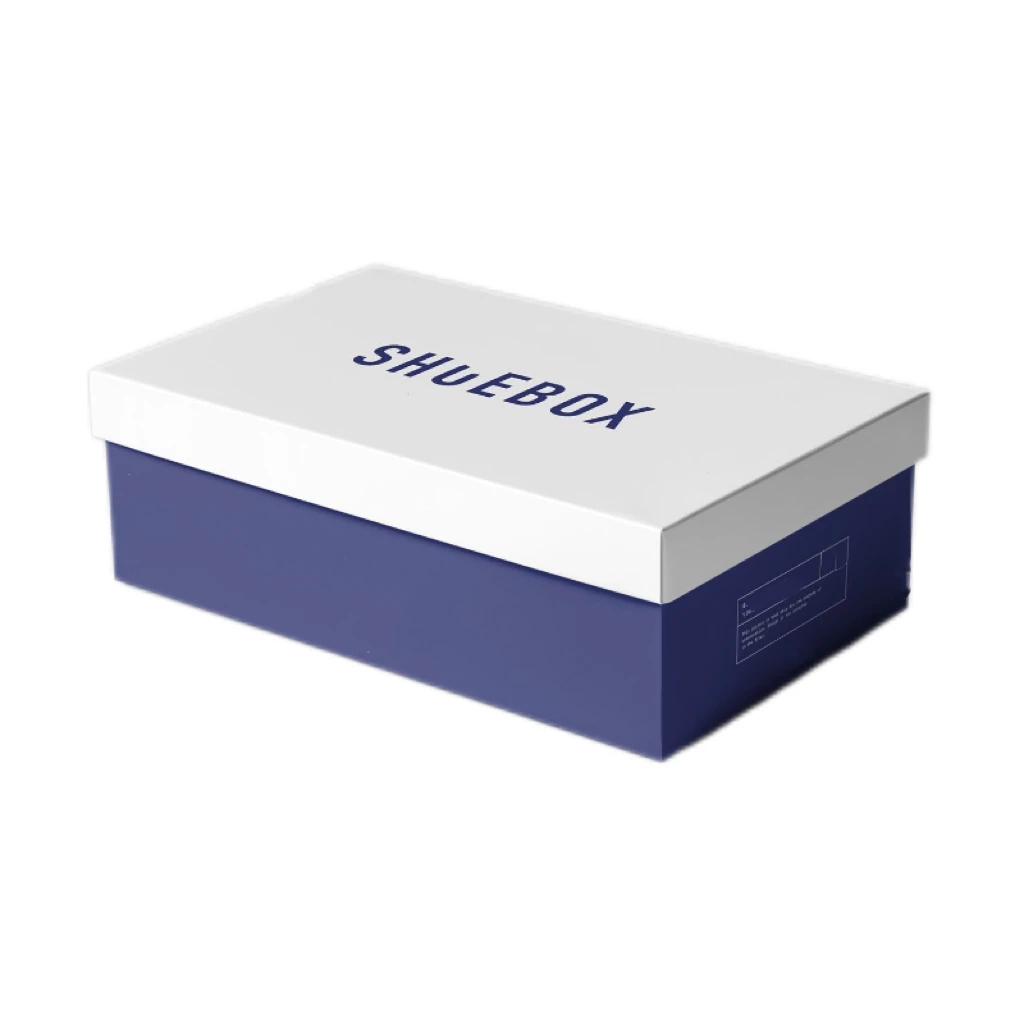 Quality Supplier Produces Beautiful Dustproof Coat Jacket Shoe Box with Handle