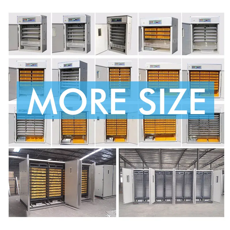 Guangzhou 5000 5280 Chicken Eggs Brooder Automatic Egg Hatching Incubator Machine Price for Sale in Lahore Pakistan 1set 250