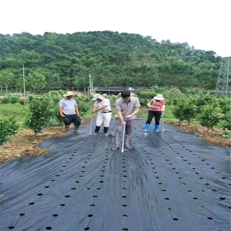 Ground Cover Pp Woven Silt Fence Fabric Geotextile For Sale
