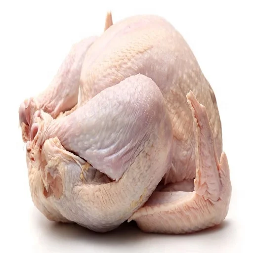 HALAL Frozen Duck Meat - Hot selling