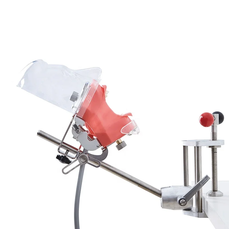 Nissin Manikin phantom head models with clear plastic head for various types of dental training