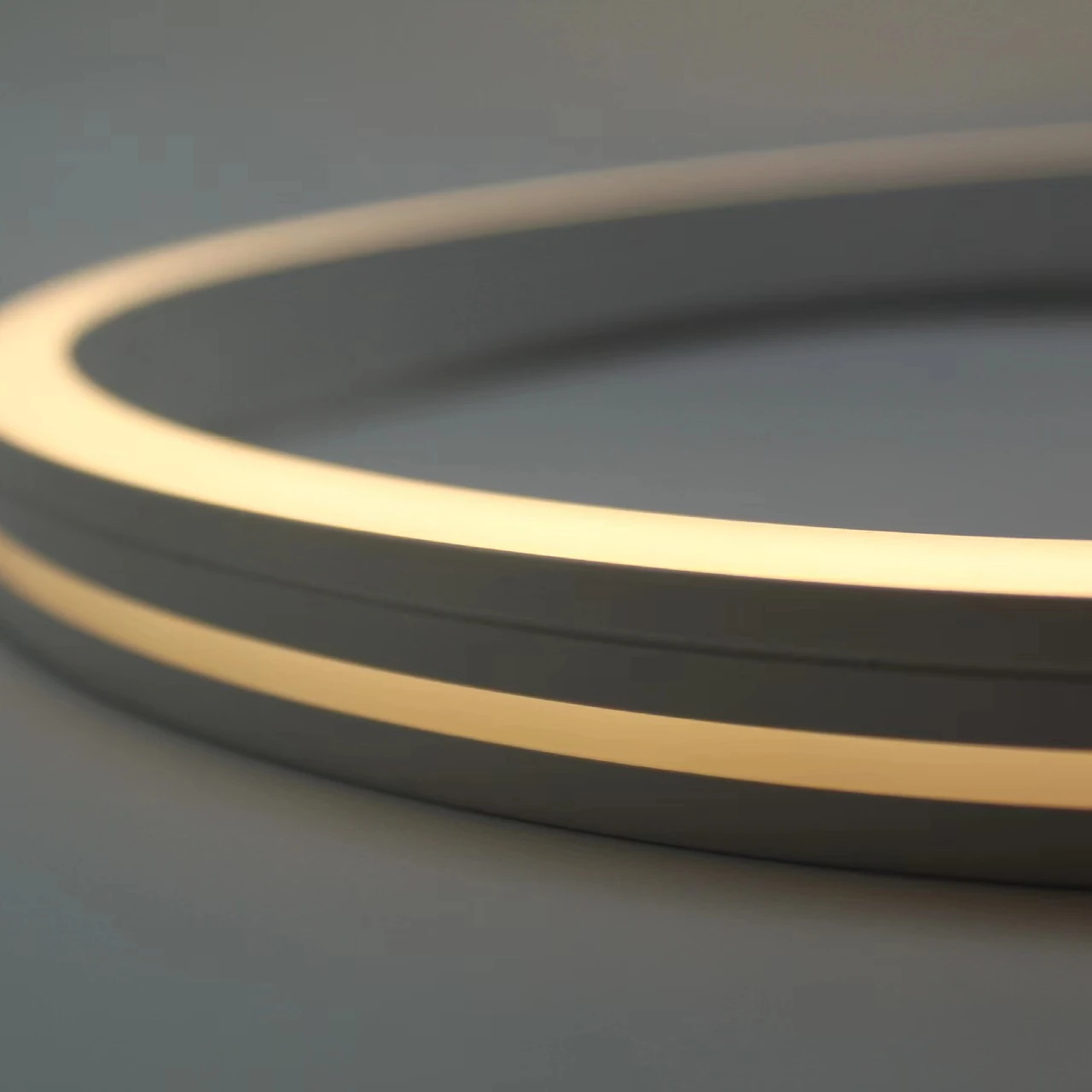 3years Warranty led lights for Outdoor Indoor Party Decorative Waterproof Silicone Flex Neon Strip Lamp Programmable Neon Light