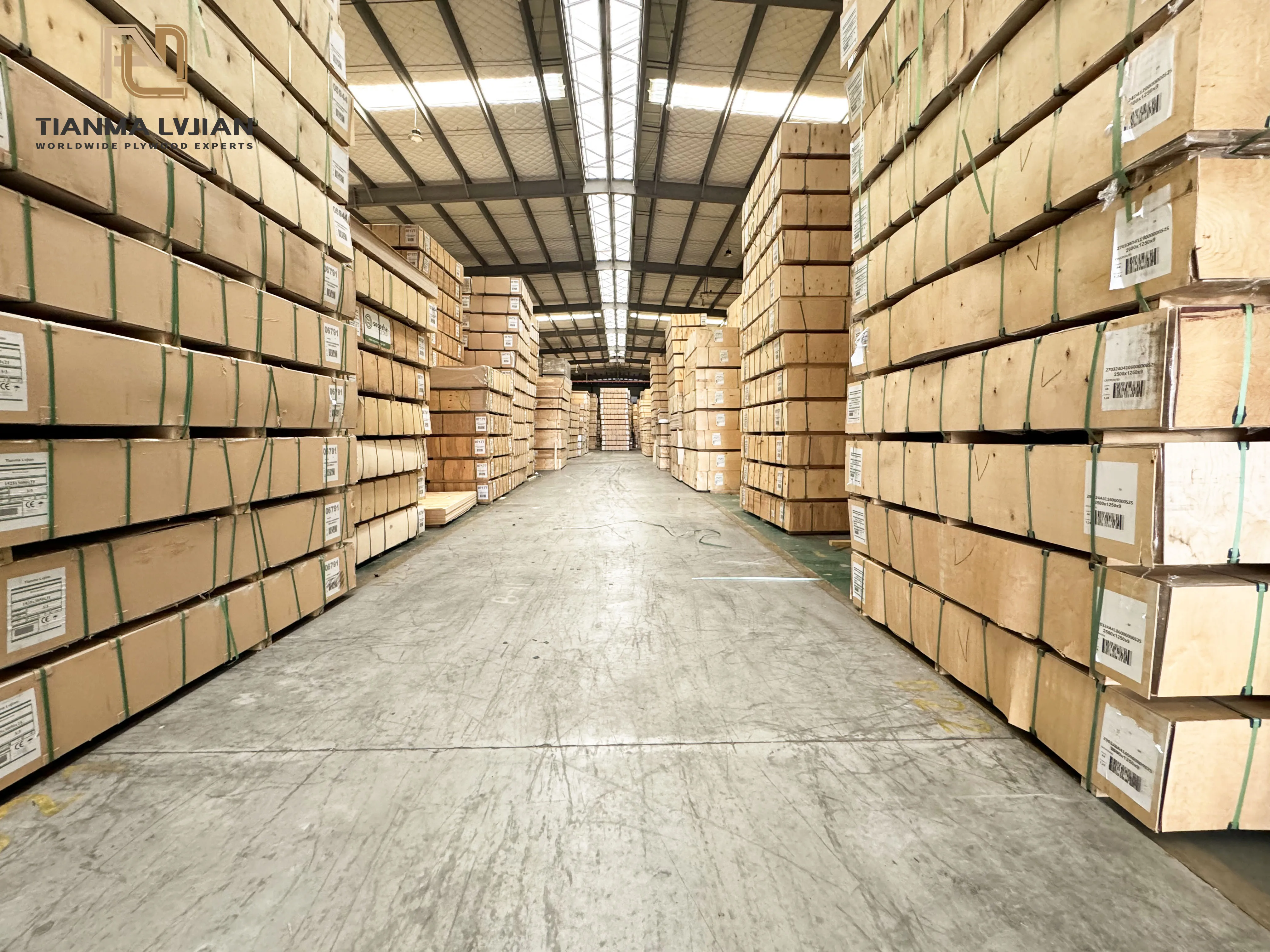 Customize Multiple Sizes 18mm Wood Full Birch Plywood Sheet 4x8 for Furniture Making