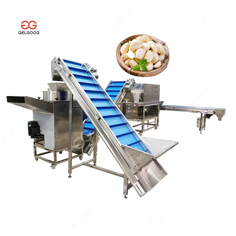 Gelgoog Electric 200-2000 kg Output Automatic Fast Garlic Bulb Peeler Hot Selling Garlic Peeling Machine
