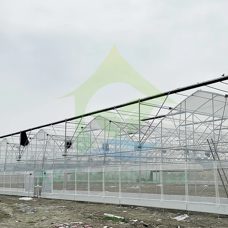 High Quality Plastic UV Resistant Film Agricultural Poly Tunnel Berry Tomato Multi-span Greenhouses For Fruit Vegetables