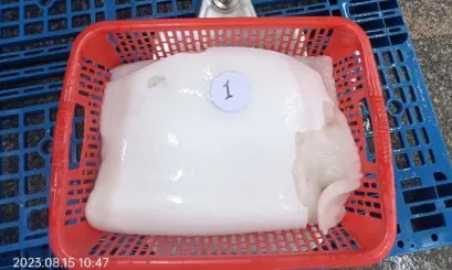 Hot Sale Seafood Frozen Giant Squid Fillet Dosidicus Gigas Squid Fillets 2-4KG