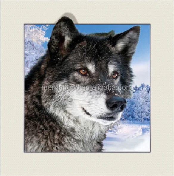 
low price Home Decoration size 40*40 3D 5D Lenticular Pictures 