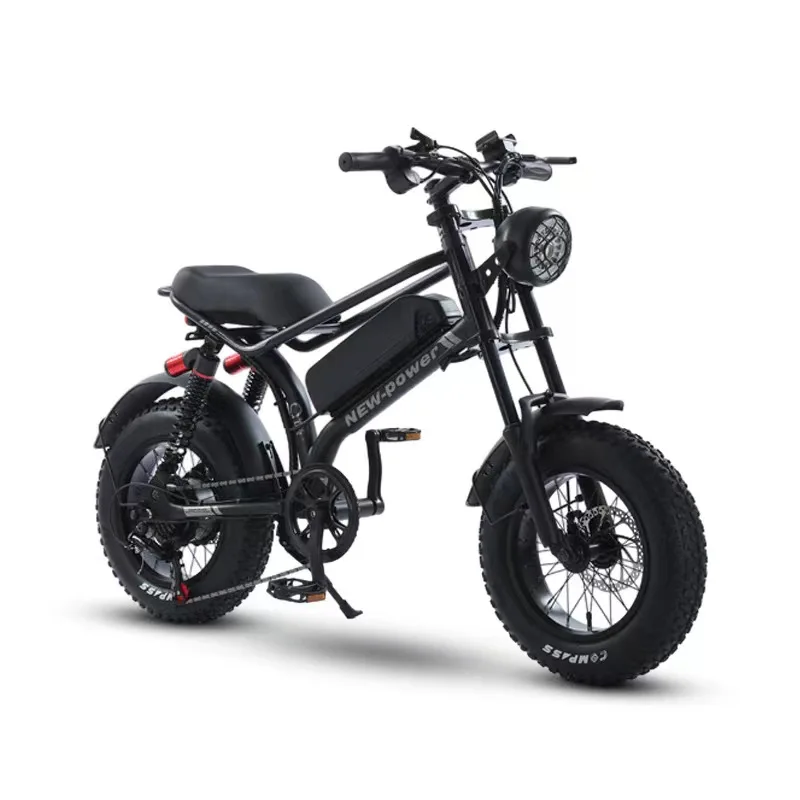 Wholesale Customization electric bicycles for adults 1000w  electric bicycle motorcycle  electric bike bicycle