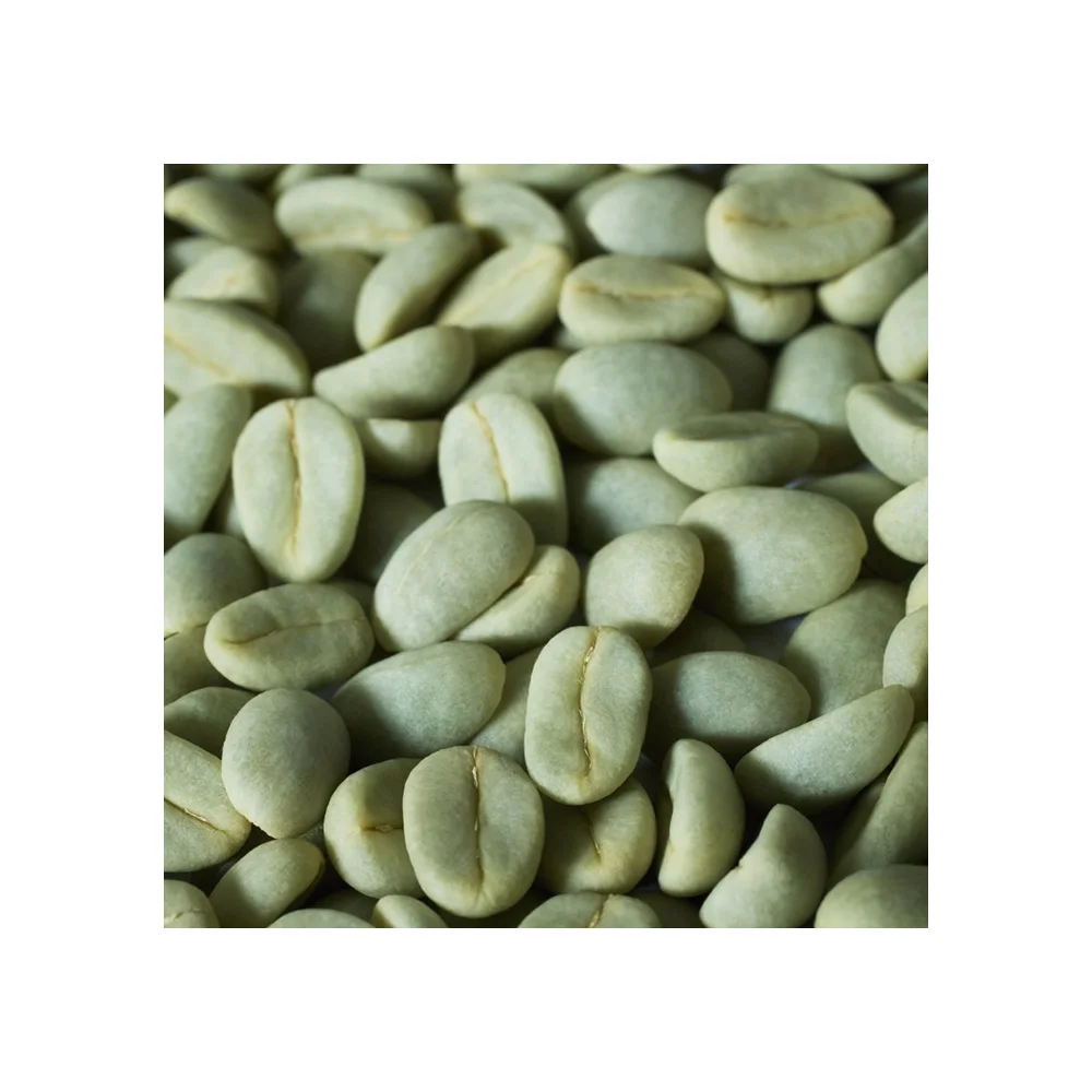
Wholesale Vietnamese High Quality Green Coffee Beans With Best Price Arabica Beans For Import Good Quality Bulk Coffee Beans 