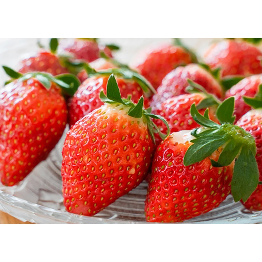 Rich taste fully ripe fresh fruit strawberry greenhouse for strawberry jam