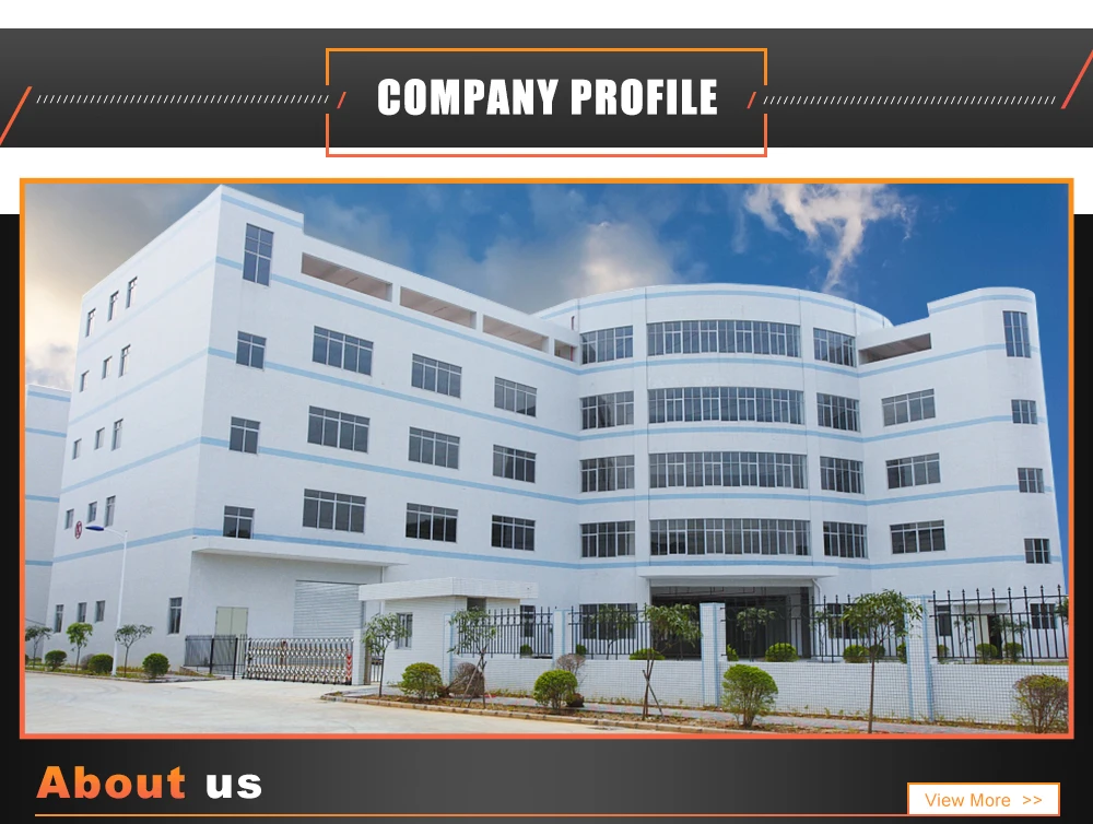 1Company introduction