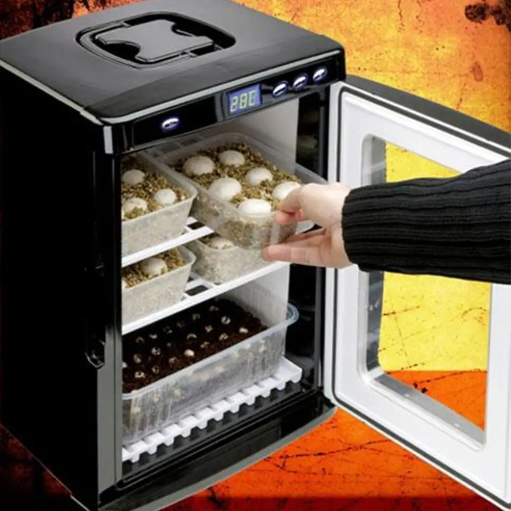 Цифровой инкубатор для яиц ящерицы змеи птицы 23 л