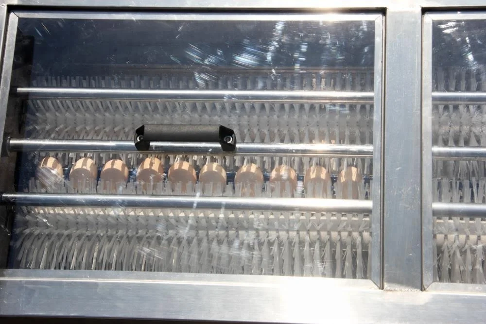 
chicken farm equipment egg cleaning machine egg washing machine 