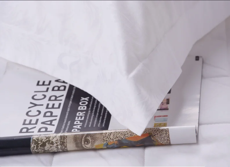 Hilton hotel 2022 new products premium comfortable fabric luxury hotel small polyester pillows cover cases