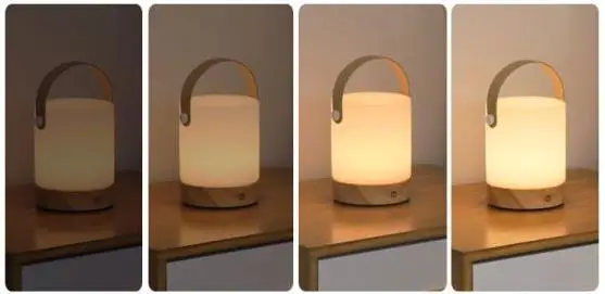 Functional portable lamp.jpg