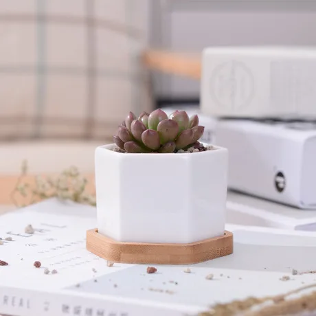 Шестигранные маленькие белые горшки для суккулентов с бамбуковым лотком, геометрический контейнер-держатель для растений С КАКТУСОМ