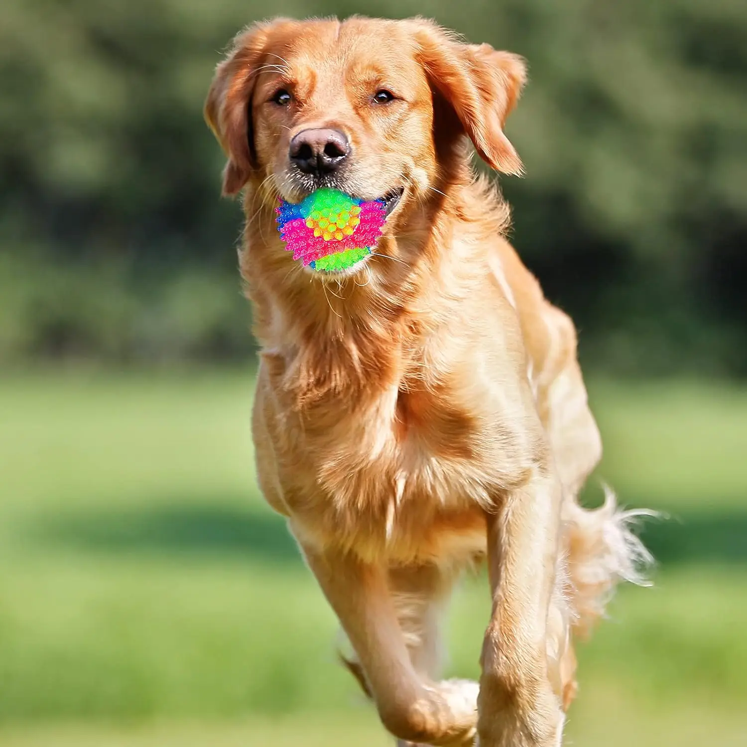 Cheap Wholesale Elastic Light-Up Funny Balls Glowing Dog Cat LED Flashing Sensory Squeaky Spike Blinking Interactive Pet Toys