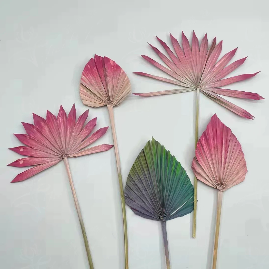 Every Love high quality natural color dried flower big palm  Leaves Fan leaf Bleached for Wedding Flower Arranging Decoration