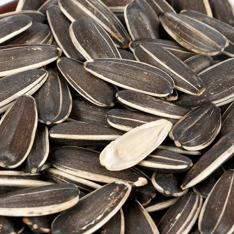 Китайская фабрика, оптовая продажа семян подсолнечника