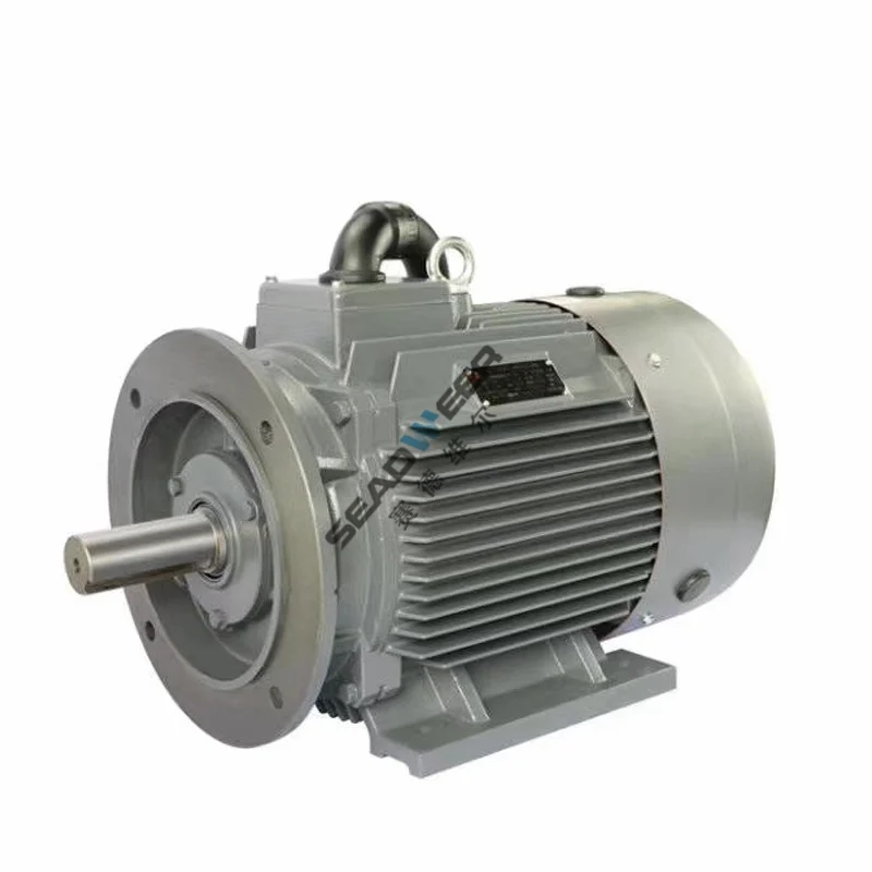high efficiency atlas copco industrial screw air compressor parts 3kw 4kw 1092125100 1092091605  Fan motor for GA110 ga160