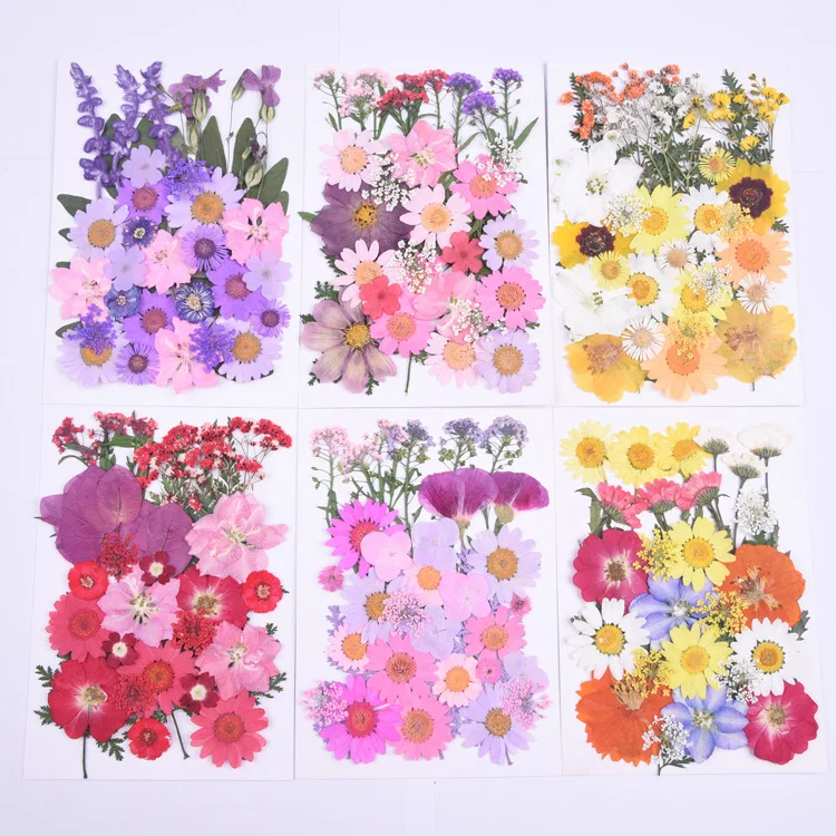 New Flower Decoration  Material Bag Diy Hand Drop Glue Resin Mobile Phone Case Photo Frame Dried  Dried Flowers And Plants