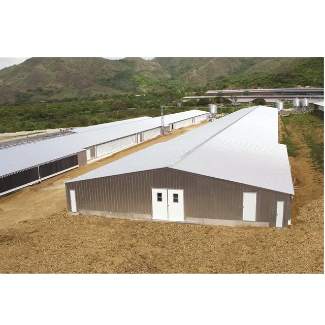 Hot Selling Prefab Layer Chicken Houses Steel Structure with Automatic Poultry Farm Equipment