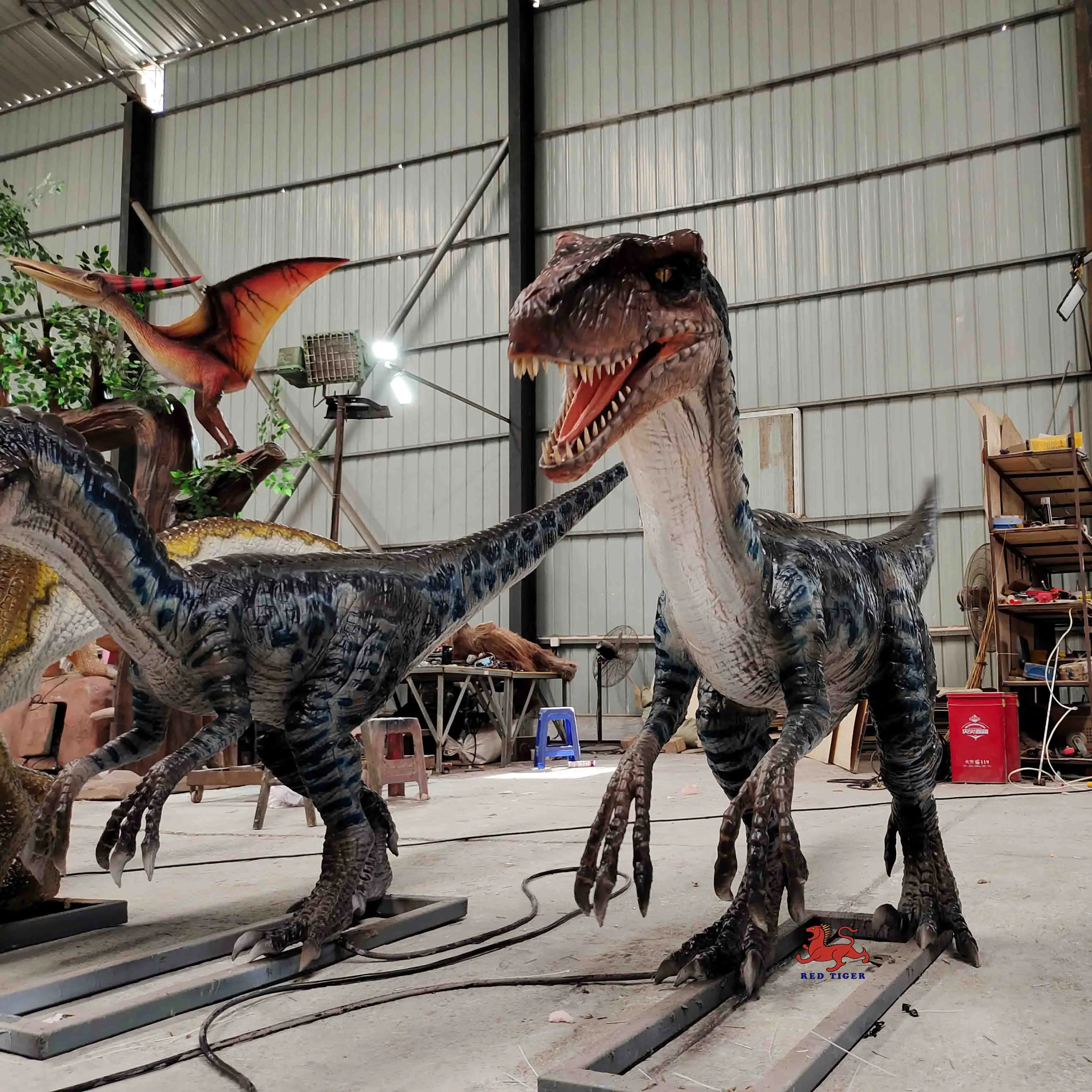 Animatronic realistic lifesize raptor model