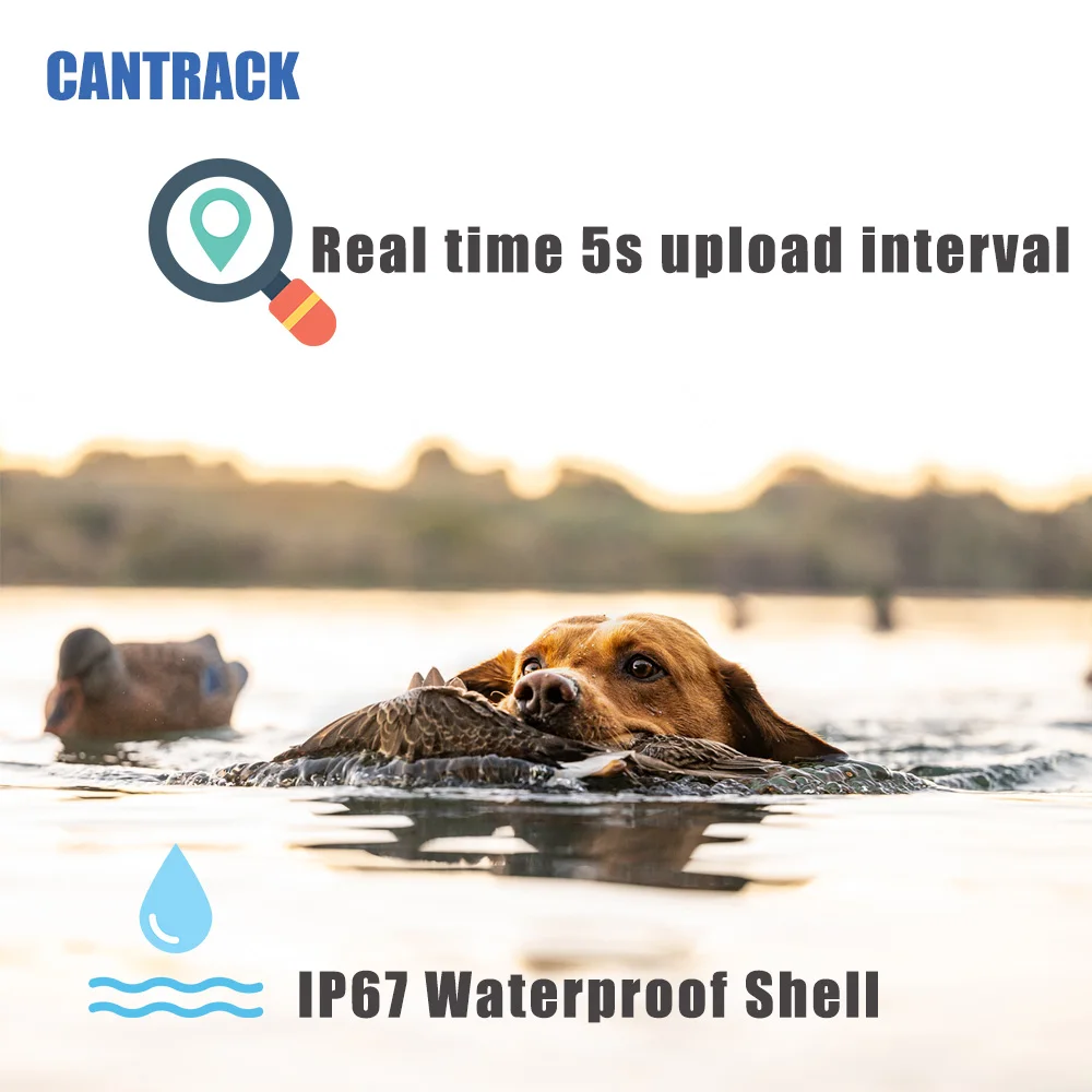 GPS трекер в реальном времени для безопасности собак Cantrack производитель Смарт ошейник