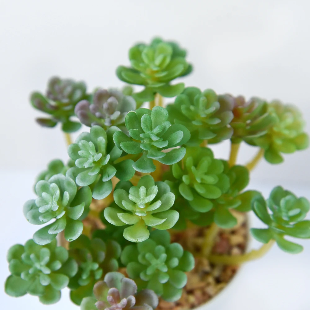 High Simulation Artificial Succulent Plant in Plastic Pot Assorted Plastic Mini Plant Bonsai Desktop Decoration
