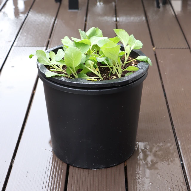 Potato/ Onion Grow Box Black Green Gallon With Two Layers and Handles Planter Pots For Onion, Fruits Grow Use