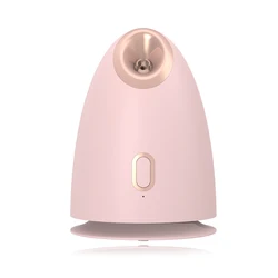 Professional Private Label Sprayer Nano Facial Steamer Portable Nano Mist Facial Steamer for Home Use