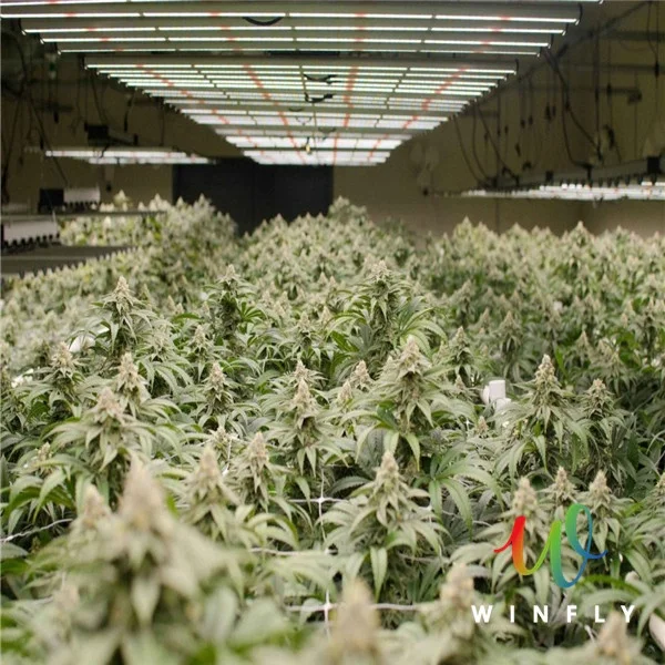 
Indoor Garden Smart Garden Organic Hydroponic Growing Systems LED Growing Light for Veg and Flower 