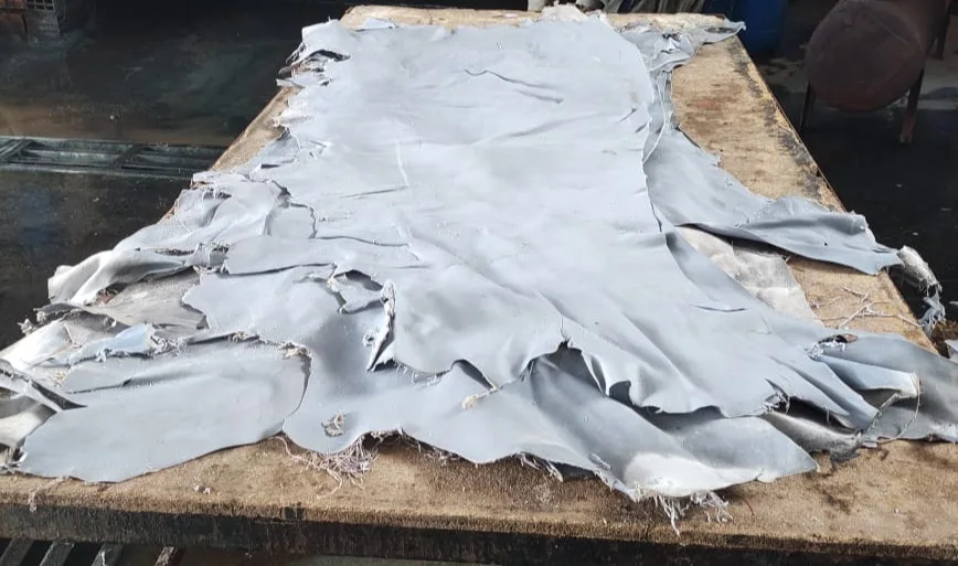 Wet Salted Cowhides/Skins For Wholesale - 100% Genuine Leather