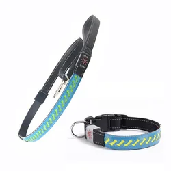 Top Seller Led Dog Leash Usb Glowing In Dark Led Dog Leash Dog Choke Collars Night Light Pet Collar