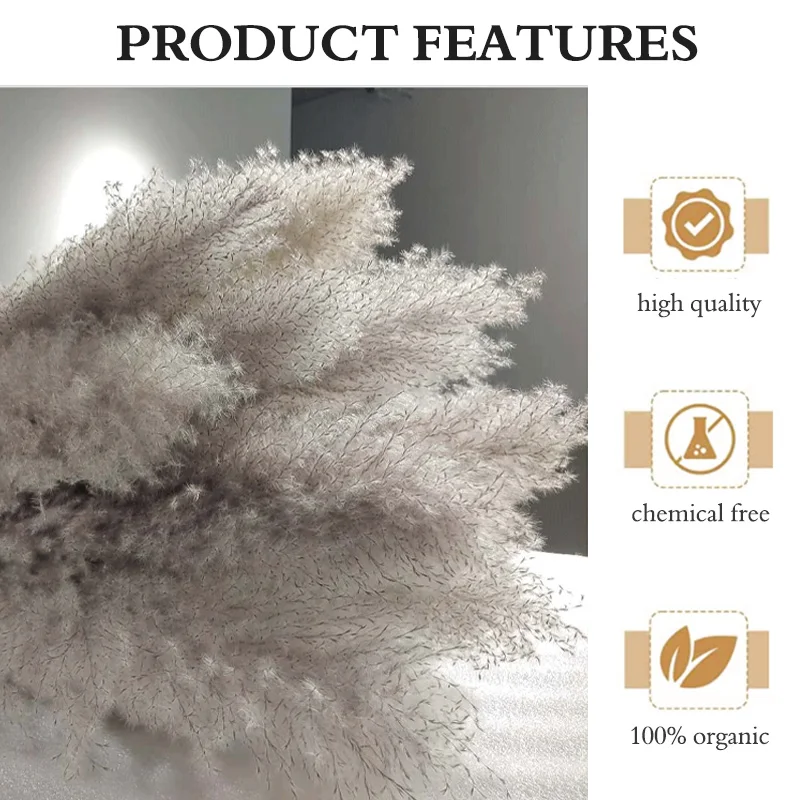 UO new arrivals natural artificial flowers large pampas gray pampas grass dried flower plume size 60cm decorative flowers