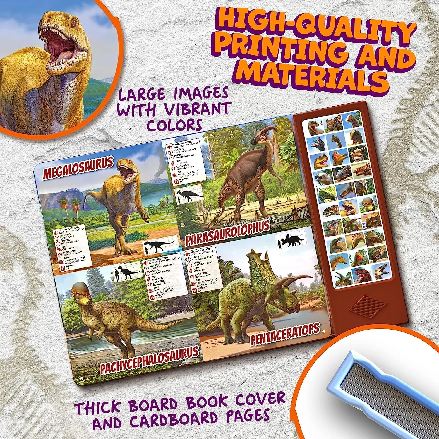 Dinosaur Book with 30 Species Facts Names and Realistic Sounds for kids learning