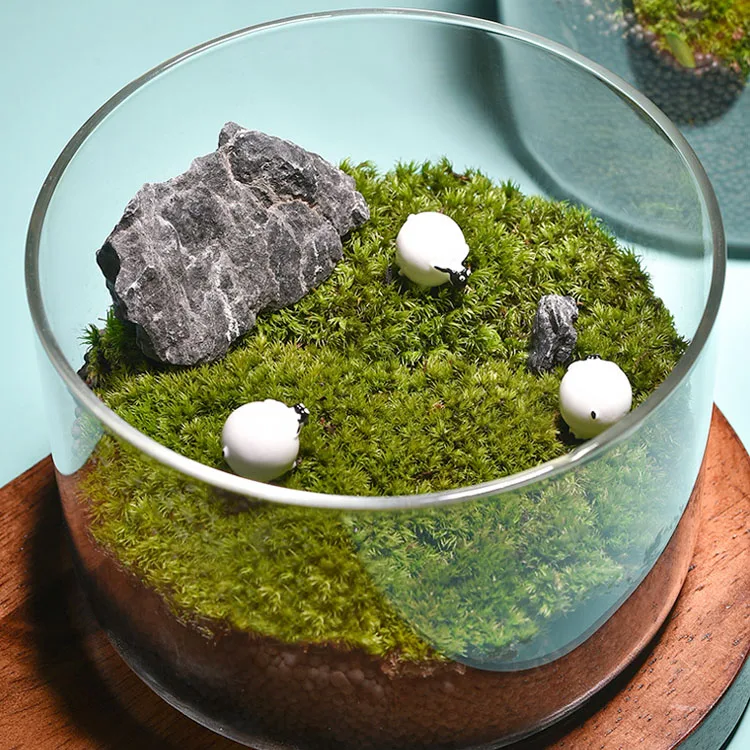 Wholesale New Arrival Home Office Garden Wedding Decoration Cylindrical Shape Glass Plant Vase Glass Terrarium Jar