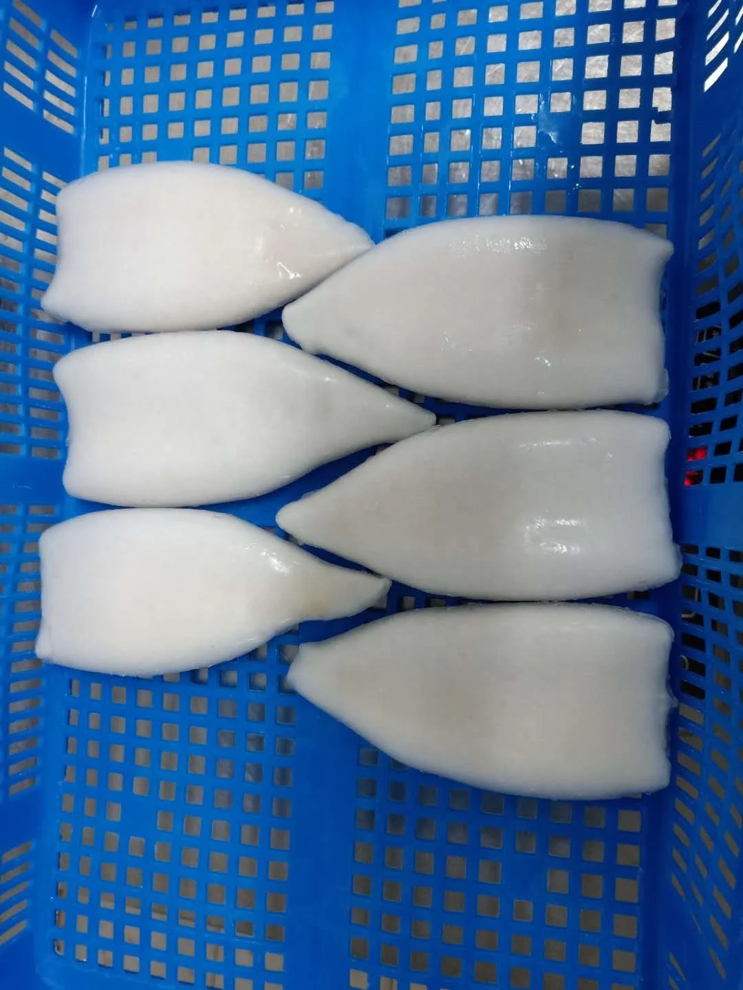 Good Sale Frozen Squid Tube
