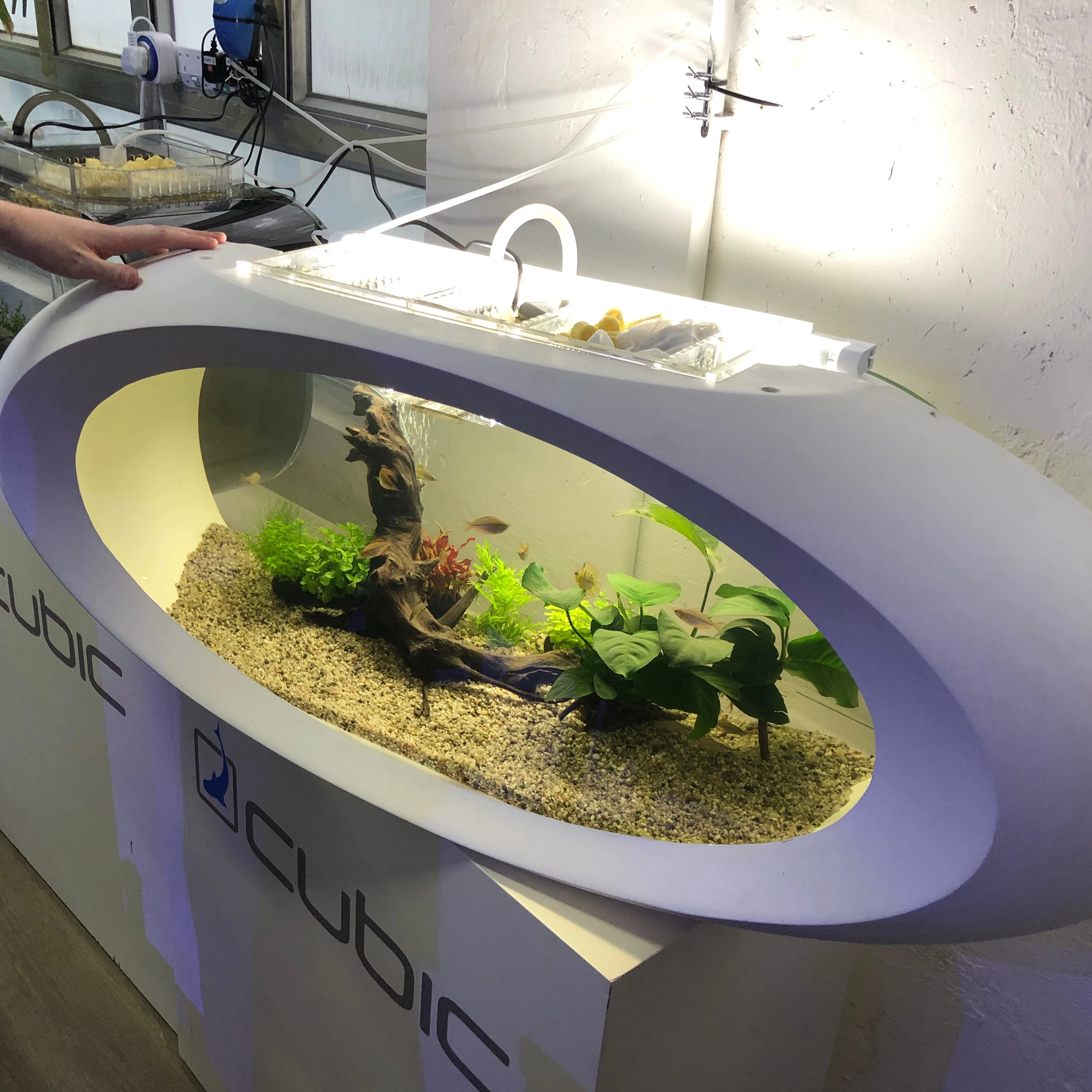 Aquarium tank FRP fish tank Fiberglass aquarium water tank Fiberglass