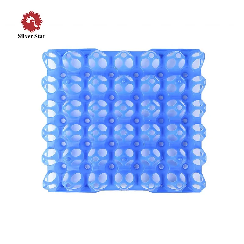 Plastic 30 Holes Chicken Eggs Tray Egg Crate For Package Transport