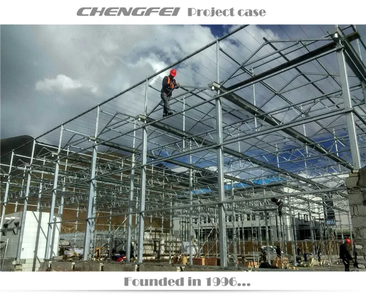 Agricultural large venlo multi-span polycarbonate sheet vegetable greenhouses supplier