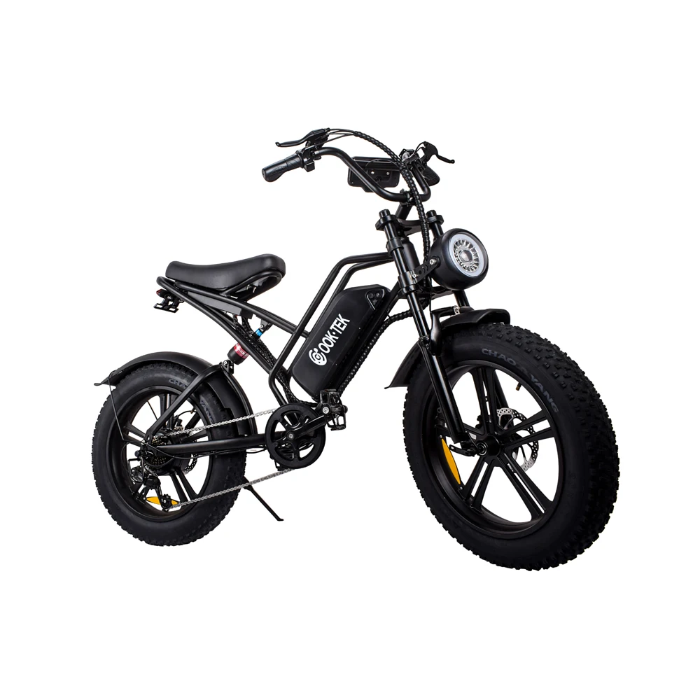 UL CE certification two wheels electric bike 750W folding 7 Speed fat tire ebike removeable battery 48V15ah Electric bicycle