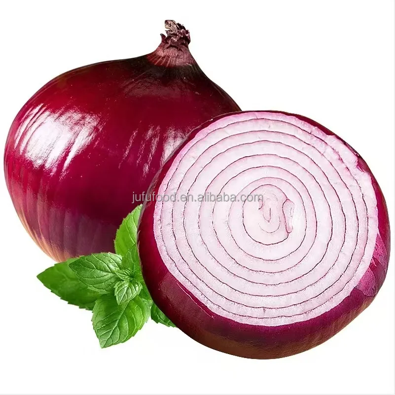 Organic Indian Onion Fresh Garlic Fresh Onions and Garlic Fresh Onion Factory Export Price