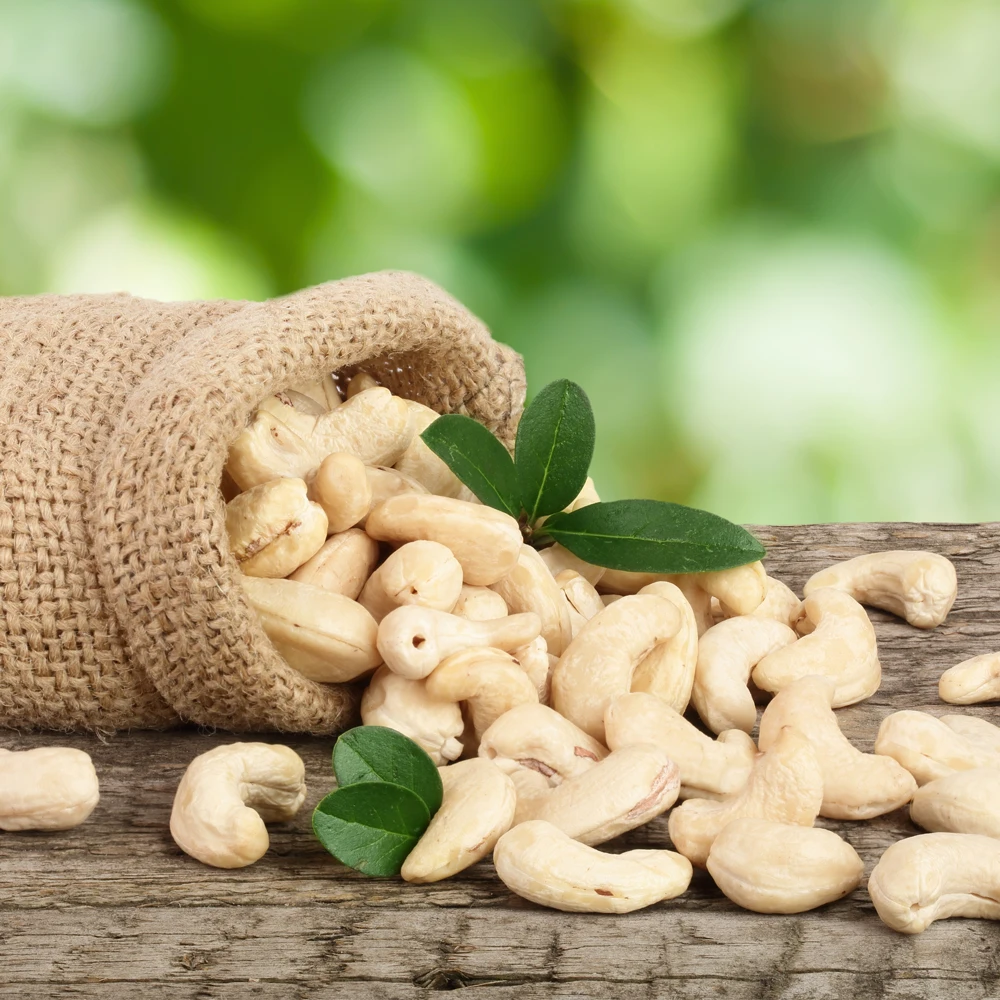 Fast Delivery Cashew Nuts Raw Using for Snack Food Moisture Broken 5% Max Cashew Nuts Exported to China US, EU, Middle East