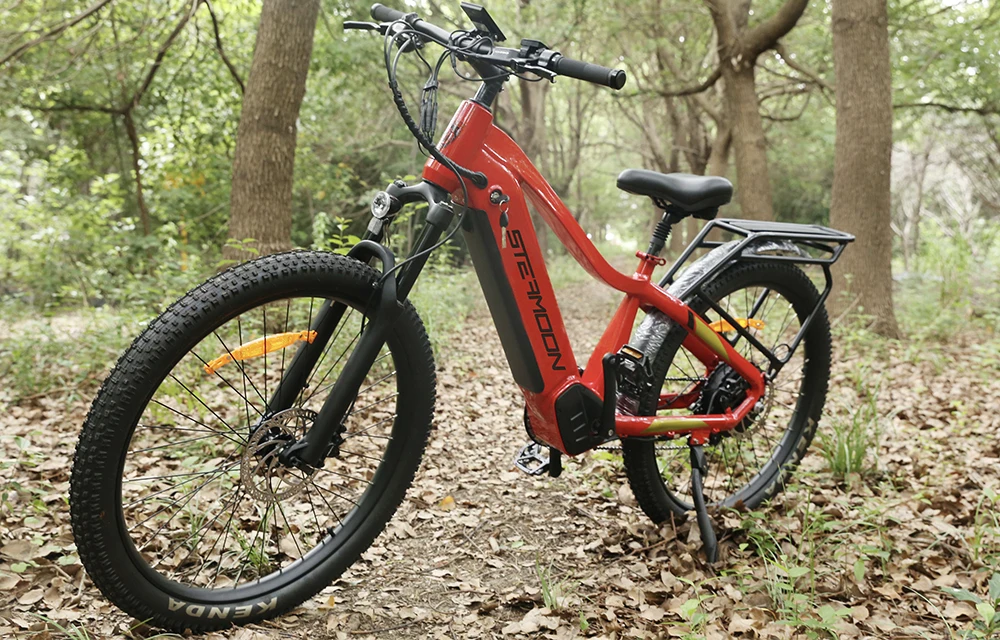 Steamoon 27.5 29inch eBike Electric Bicycle 2.215 Tire Electric Bike Hybrid City Road Mountain 750w 1000w Electric Dirt Bike